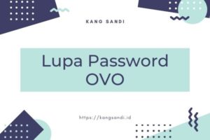 √# Lupa Password OVO : 6 Cara Atasi PIN Tokopedia, Grab, Kudo